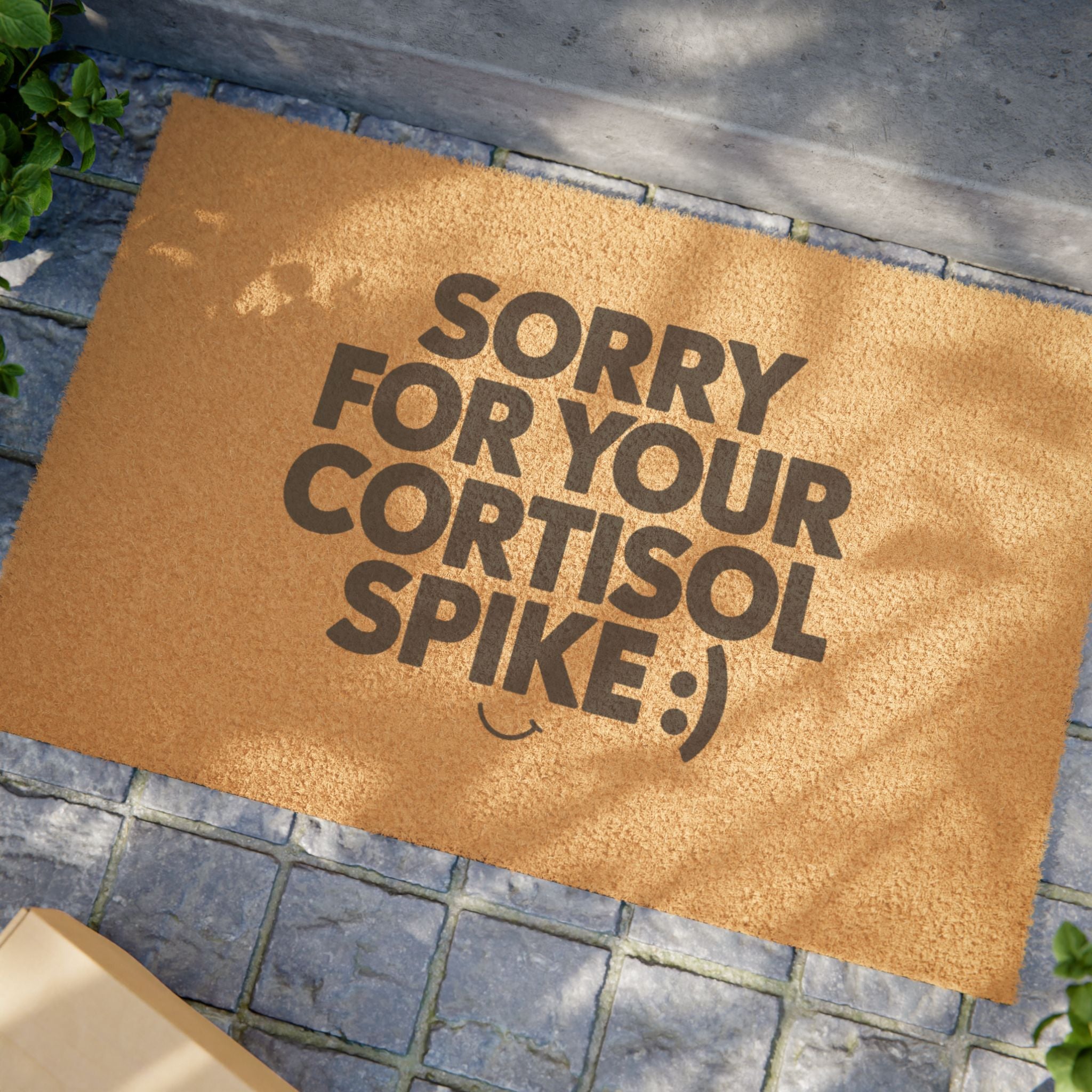 Sorry For Your Cortisol Spike Doormat