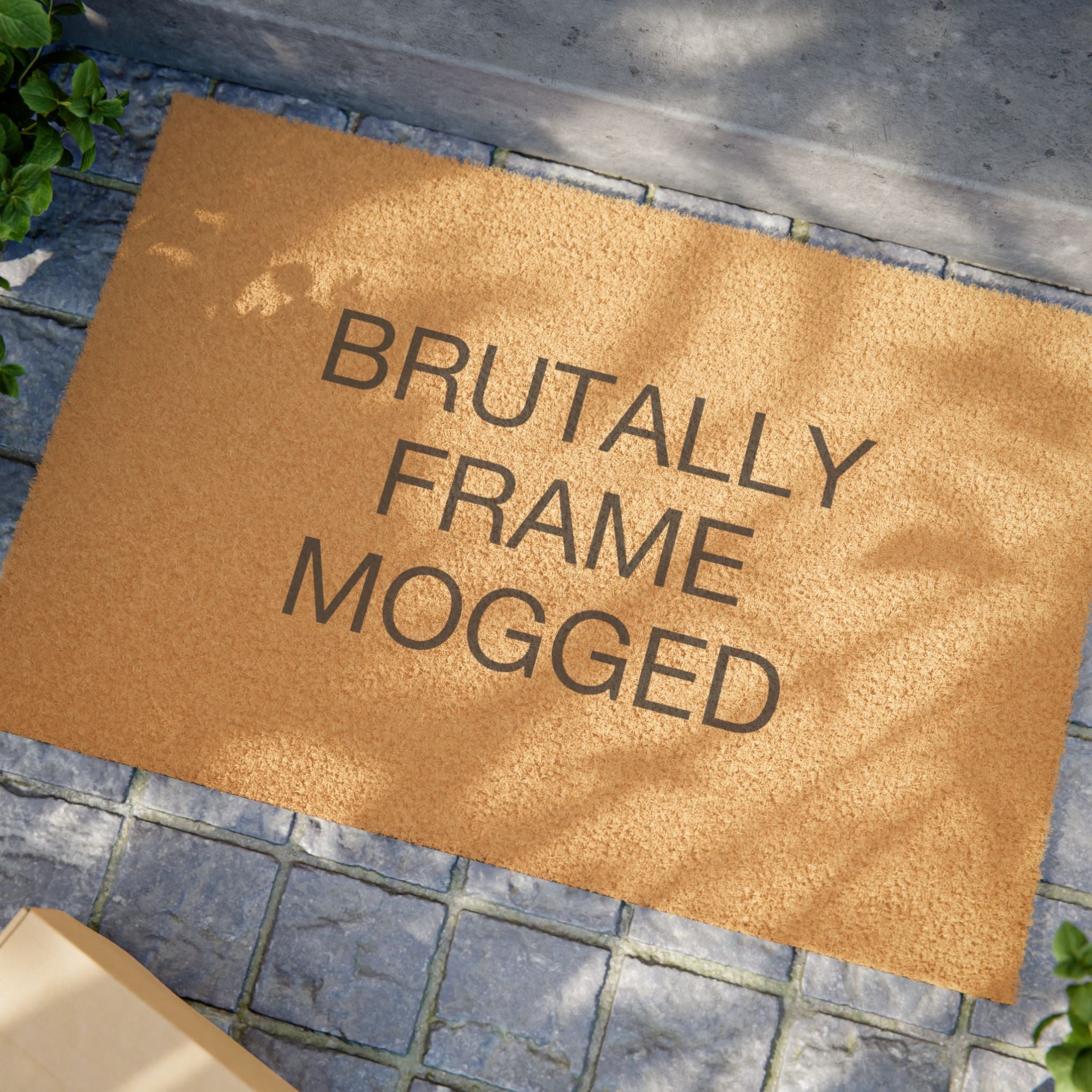 Brutally Frame Mogged Doormat